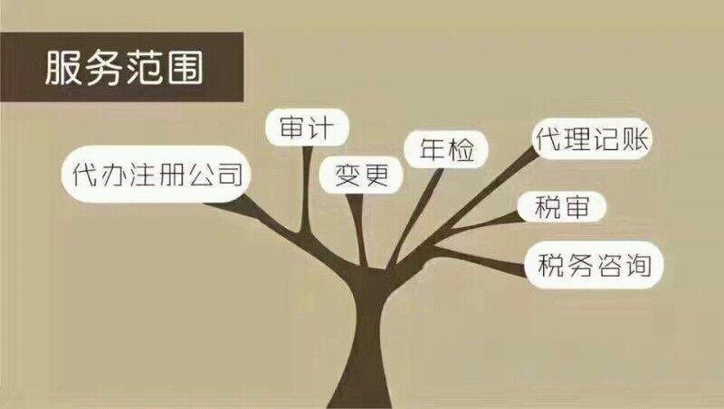 长春代理记账服务项目